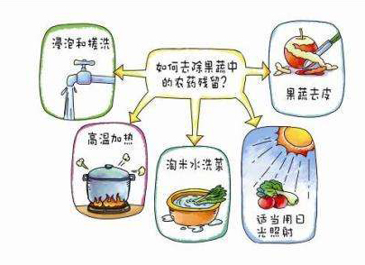如何減少農(nóng)藥污染去除農(nóng)藥殘留？振華化工總結(jié)以下幾點(diǎn)分享給大家